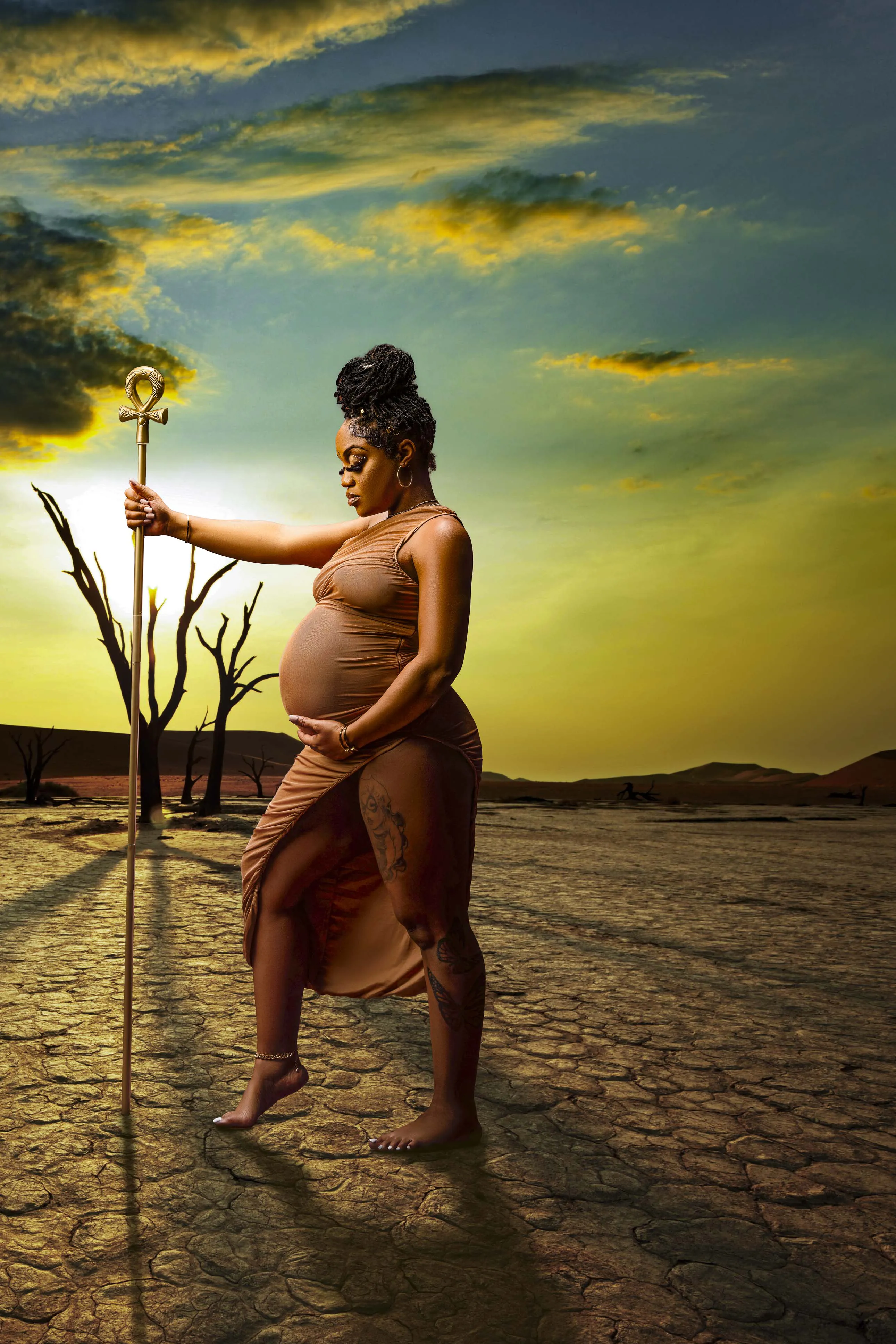 Striking maternity pose desert landscape concept creative photography